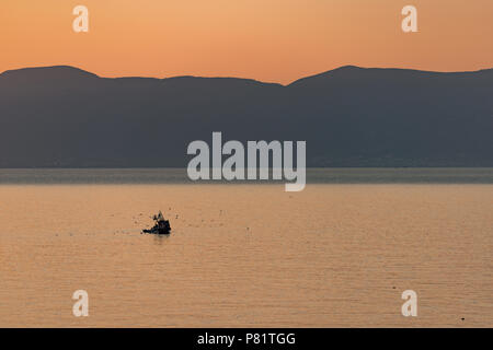 Ein kleines Fischerboot verlässt den Hafen bei Sonnenaufgang von Möwen in Alhucemas, Marokko gefolgt. Stockfoto