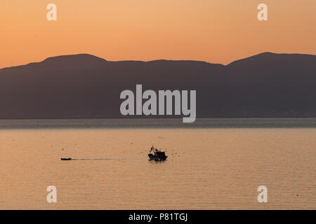 Ein kleines Fischerboot verlässt den Hafen bei Sonnenaufgang von Möwen in Alhucemas, Marokko gefolgt. Stockfoto