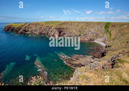 Sommer Blick entlang der Pembrokeshire Coast Path in South Wales, Großbritannien Stockfoto