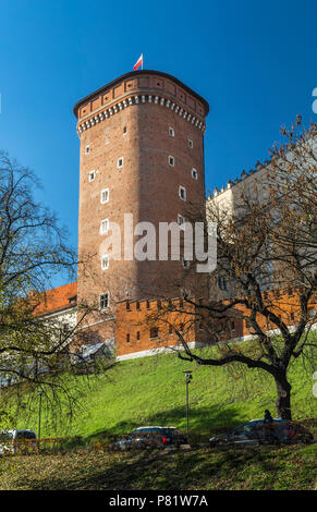 Senatorische Turm (Lubranka) - einer der drei derzeit bestehenden Türme Schloss Wawel in Krakau, Polen Stockfoto