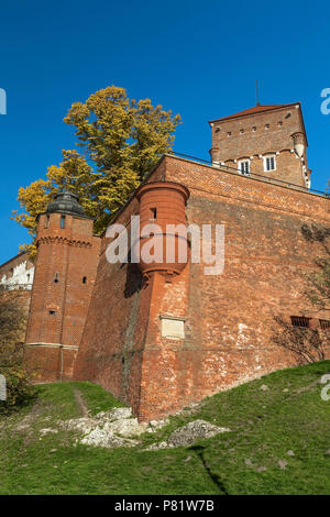 Ein kleines Stück der Befestigungsanlagen Schloss Wawel in Krakau, Polen. Stockfoto