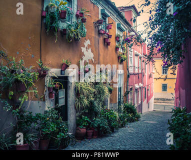Blumenumsäumte Gasse mit farbenfrohen Fassaden in Alcântara, Lissabon, Portugal, Abendlicht Stockfoto