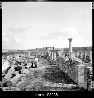 71 CH-NB-Französisch-Marokko, Volubilis - Ruinen - Annemarie Schwarzenbach - SLA-Schwarzenbach-A -5-26-168 Stockfoto