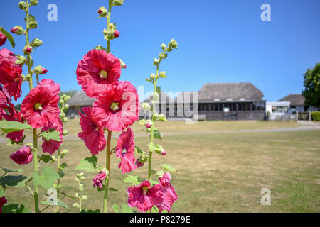 Bignor Roman Villa Stockfoto