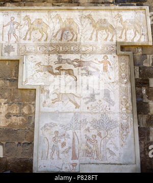 Syrien. Bosra (Busra al-Sham). Daraa Bezirk. Römische Mosaik aus dem 6. Jahrhundert in das Theater entdeckt. Top: Camel Caravan. Zentrale Zone: Jagd (Hunde jagen Hase). Untere Zone: landwirtschaftliche Arbeit (Ernte der Termine und taube Zucht). Stockfoto