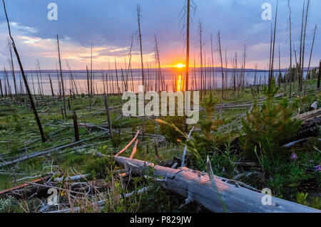 Sonnenuntergang über Lake Yellowstone Stockfoto