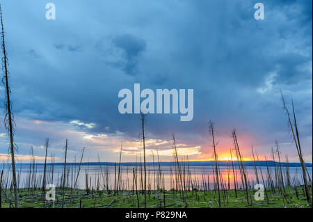 Sonnenuntergang über Lake Yellowstone Stockfoto