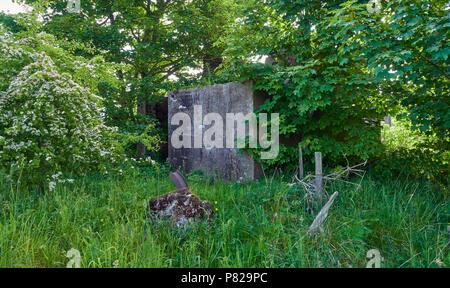 Eine der Ancilliary Gebäude oder Bunker an der alten Stracathro Kriegszeiten Flugplatz in den Hügeln oberhalb des Strathmore Tal in Angus, Schottland. Stockfoto