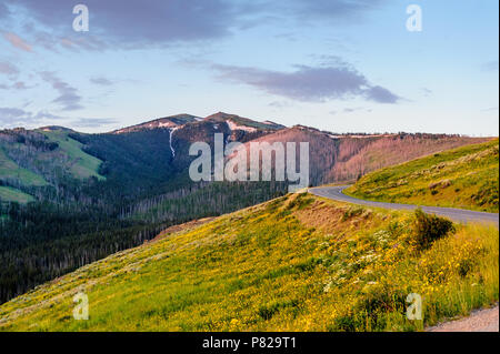 Am frühen Morgen Sonnenaufgang über Yellowstone Stockfoto