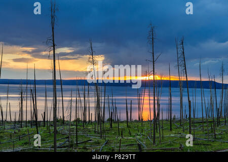 Sonnenuntergang über Lake Yellowstone Stockfoto