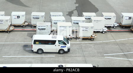 Bodenabfertigung, Container Loader und Container/Palettenwagen warten auf Service am Narita Flughafen. Stockfoto