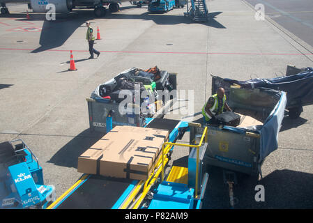 Entladen des Gepäcks vom Flugzeug auf dem Flughafen Schiphol, Amsterdam, Holland Stockfoto