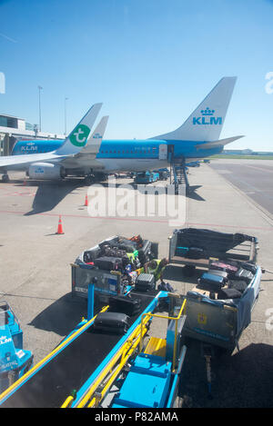 Entladen des Gepäcks vom Flugzeug auf dem Flughafen Schiphol, Amsterdam, Holland Stockfoto