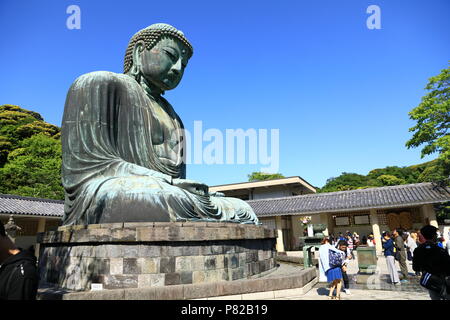 KAMAKURA JAPAN, Mai 2018: Der kamakura Daibutsu (Großen Buddha aus Kamakura) auf dem Gelände des Kotokuin Tempel in Kamakura Stadt Stockfoto