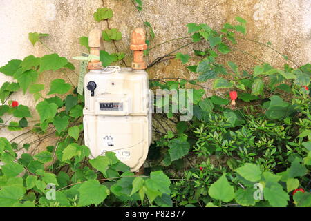 KAMAKURA JAPAN - Mai 2018: Gaszähler getrennt für private Haus, befestigen Sie unter Schönheit Efeu, Meter, Kubikmeter lesen. Stockfoto