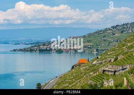 Blick auf den Genfer See in Richtung Lausanne aus dem schönen Wein terrasses Lavaux in der Schweiz Stockfoto