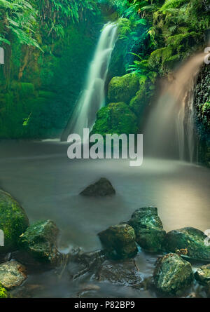 Kleiner Wasserfall In Einen Bach Der Botanische Garten Der Ruhr