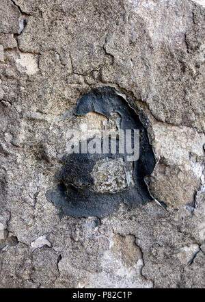 Formulierung in Distressed Zustand Typografie gefunden Brief A Stockfoto