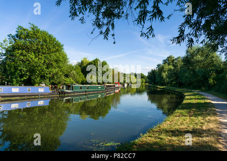 Mehrere 15-04 Wohnungen günstig auf der Seite des Flusses Cam an einem sonnigen Tag Sommer, Cambridge, Großbritannien Stockfoto