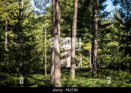 Lyndon B Johnson Memorial Grove Monolith Washington DC // WASHINGTON DC — der Lyndon B. Johnson Memorial Grove auf dem Potomac verfügt über einen markanten Granit-Monolith, der als Herzstück des Präsidentendenkmals dient. Der ca. 45 Tonnen schwere Gedenkstein aus rosafarbenem Granit wurde aus einem Steinbruch an der texanischen Küste ausgewählt und 1976 eingeweiht. Das Denkmal auf Columbia Island ehrt den 36. Präsidenten der Vereinigten Staaten und wurde von dem Landschaftsarchitekten Meade Palmer entworfen. Der Hain umfasst eine Wiese, Waldgebiete und Wanderwege entlang des Potomac River. Die Stockfoto