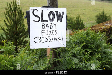 Warnschild für Autofahrer als Baby Füchse zu verlangsamen, kann die Straße überquert werden. Stockfoto