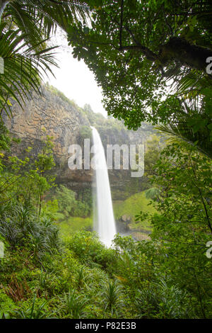 Bridal Veil Falls, Raglan, Neuseeland Stockfoto