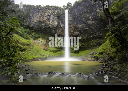 Bridal Veil Falls, Raglan, Neuseeland Stockfoto