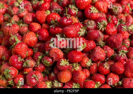 Frische rote Erdbeere abstrakte Obst bunte Muster Textur Hintergrund Stockfoto