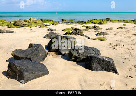 Schwarzen vulkanischen Felsen und bemoosten Steinen am weißen Sandstrand der Costa Calma, Fuerteventura, Kanarische Inseln, Spanien Stockfoto