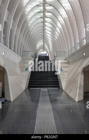 Bahnhof Guillemins Liege in Belgien, Architekt Santiago Calatrava. Stockfoto