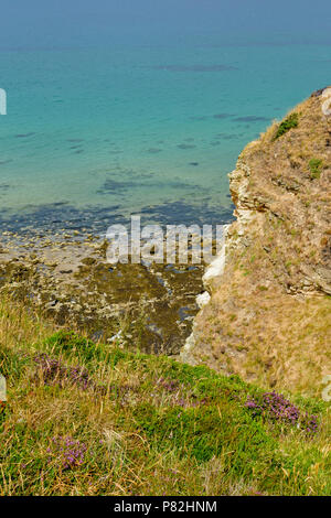 HOPEMAN Moray in Schottland HEIDEKRAUT BLUMEN IM SOMMER UND STRAND MIT BLICK AUF DAS MEER entlang der Küste von Moray TRAIL Stockfoto