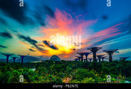 Ansicht des Supertree Grove und Wintergärten an Gärten durch die Bucht bei Sonnenaufgang im Stadt-staat Singapur Stockfoto