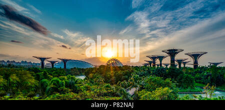 Ansicht des Supertree Grove und Wintergärten an Gärten durch die Bucht bei Sonnenaufgang im Stadt-staat Singapur Stockfoto