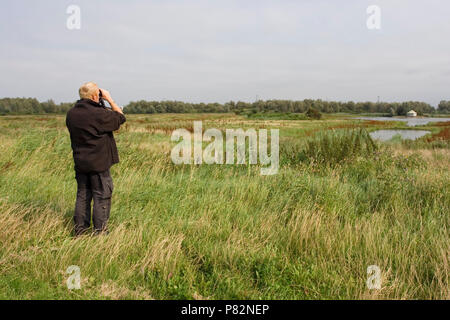 Vogelaar in actie; Vogelbeobachter in Aktion Stockfoto