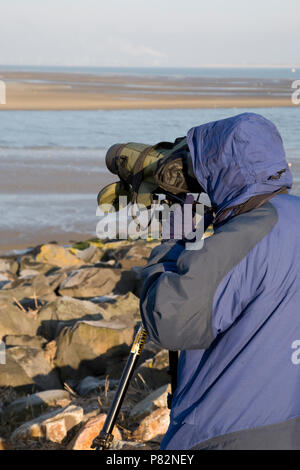 Vogelaar in actie; Vogelbeobachter in Aktion Stockfoto