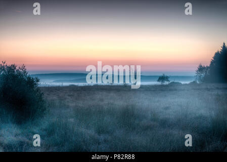 Hoge Veenen NP nevelige zonsopkomst, NP Hohe Fenns dunstig Sunrise Stockfoto