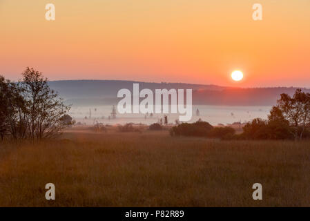 Hoge Veenen NP zonsopkomst, NP Hohe Fenns sunrise Stockfoto