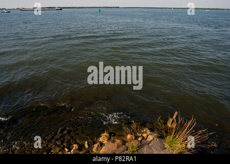 Hollands Diep, Niederlande Stockfoto