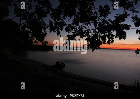 In de Avond Oderdelta; Nightfall am Oderdelta Stockfoto