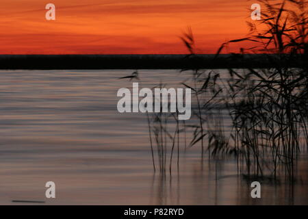 In de Avond Oderdelta; Abends im Oderdelta Stockfoto