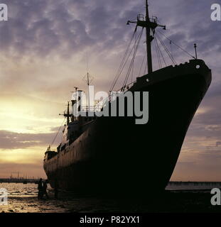 AJAXNETPHOTO. NETLEY, Southampton, England. - Havarie - der FRACHTER SAM G auf NETLEY STRAND NACH DEM ZIEHEN IHRE ANKER IN EINEM HERBSTLICHEN STURM, DER ÜBER DER SÜDKÜSTE zerrissen. Foto: Jonathan Eastland/AJAX REF: 880026 44 Stockfoto