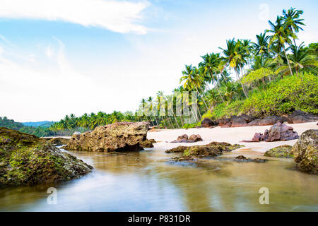 Lange Belichtung. Schönen und erholsamen Strand von grünen Palmen bei Sonnenuntergang flankiert. Cochin, Kerala, Indien. Stockfoto