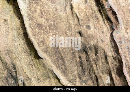Sandstein siltstone Textur Hintergrund Stockfoto