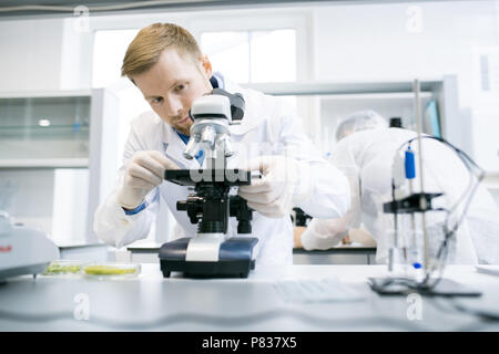 Wissenschaftler mit Mikroskop im Labor Stockfoto