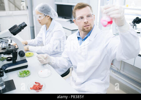 Moderne Wissenschaftler Forschen im Labor Stockfoto