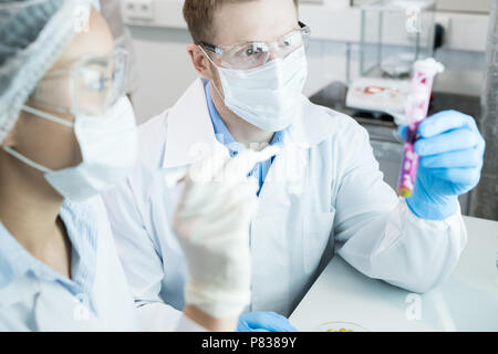Wissenschaftler im Labor arbeiten Stockfoto