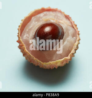 Raw organic Hälfte lychee Beeren auf blauem Hintergrund isoliert, makroaufnahme Stockfoto