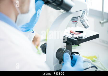 Nicht erkennbare Wissenschaftler mittels Mikroskop Stockfoto
