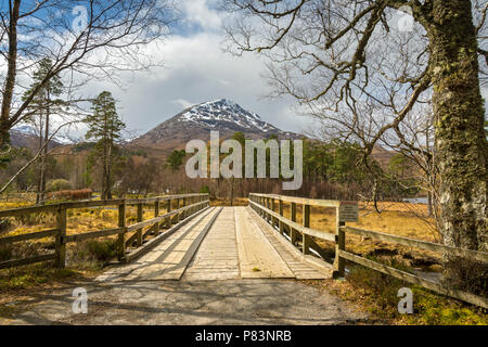 Sgùrr Dubh vom Track zu Coulin Lodge, an der Spitze des Loch Torridon, Clair, Hochland, Schottland, Großbritannien Stockfoto