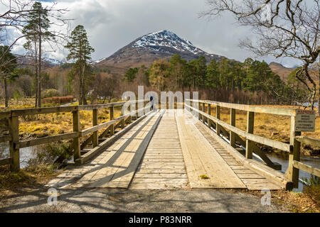 Sgùrr Dubh vom Track zu Coulin Lodge, an der Spitze des Loch Torridon, Clair, Hochland, Schottland, Großbritannien Stockfoto